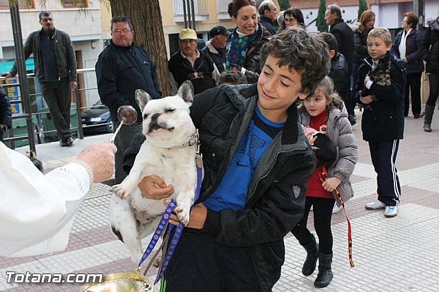 Los animales recibieron la bendicin en el da de su patrn, San Antn Abad - 2013 - 170