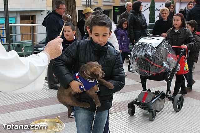Los animales recibieron la bendicin en el da de su patrn, San Antn Abad - 2013 - 173