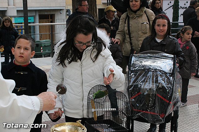 Los animales recibieron la bendicin en el da de su patrn, San Antn Abad - 2013 - 175