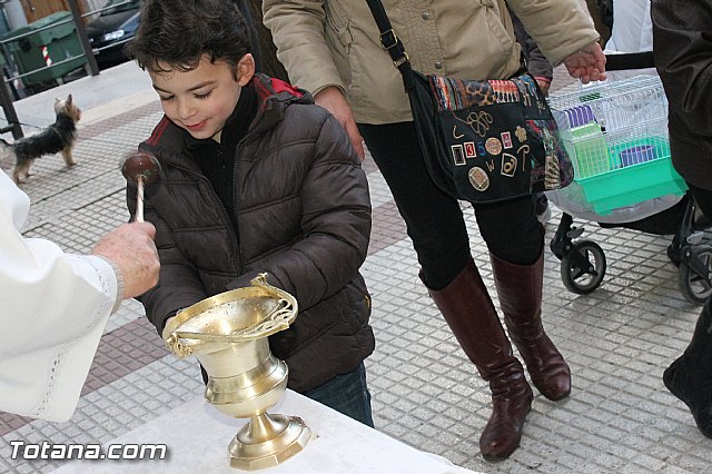 Los animales recibieron la bendicin en el da de su patrn, San Antn Abad - 2013 - 177