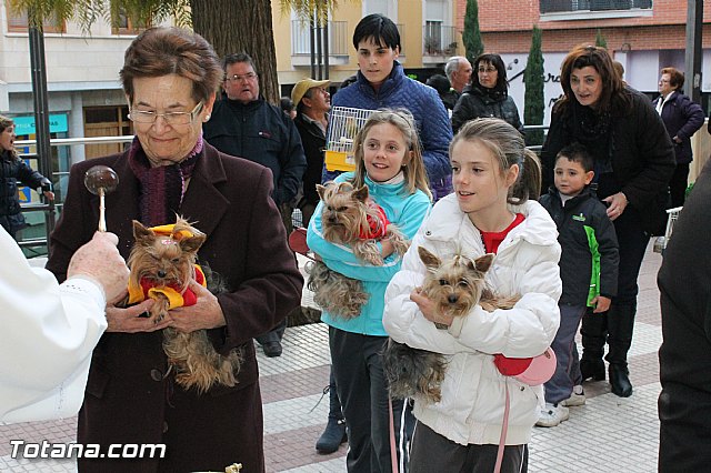 Los animales recibieron la bendicin en el da de su patrn, San Antn Abad - 2013 - 181