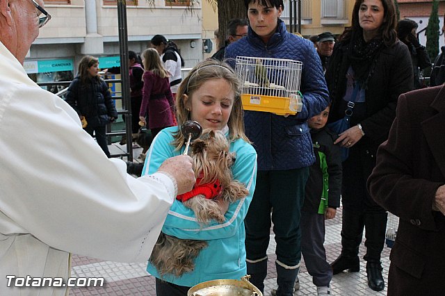 Los animales recibieron la bendicin en el da de su patrn, San Antn Abad - 2013 - 182