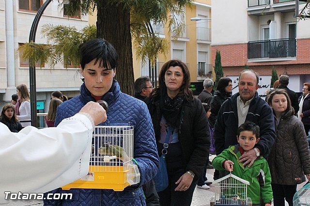 Los animales recibieron la bendicin en el da de su patrn, San Antn Abad - 2013 - 183