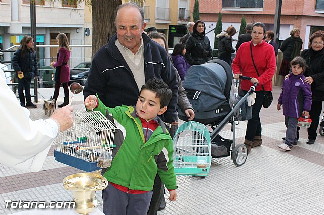 Los animales recibieron la bendicin en el da de su patrn, San Antn Abad - 2013 - 185
