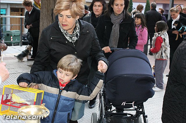 Los animales recibieron la bendicin en el da de su patrn, San Antn Abad - 2013 - 189