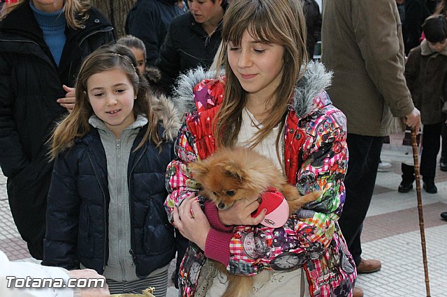 Los animales recibieron la bendicin en el da de su patrn, San Antn Abad - 2013 - 195
