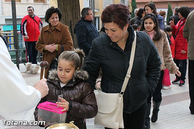 Los animales recibieron la bendicin en el da de su patrn, San Antn Abad - 2013 - 196