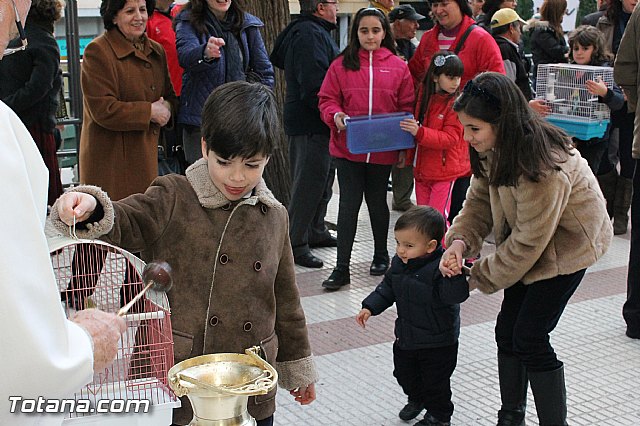 Los animales recibieron la bendicin en el da de su patrn, San Antn Abad - 2013 - 197