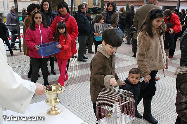 Los animales recibieron la bendicin en el da de su patrn, San Antn Abad - 2013 - 198