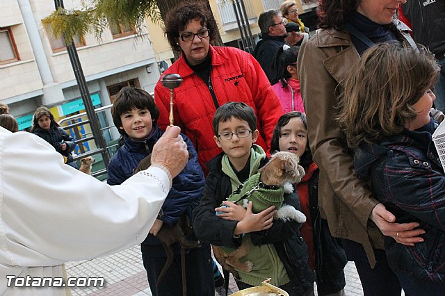 Los animales recibieron la bendicin en el da de su patrn, San Antn Abad - 2013 - 201