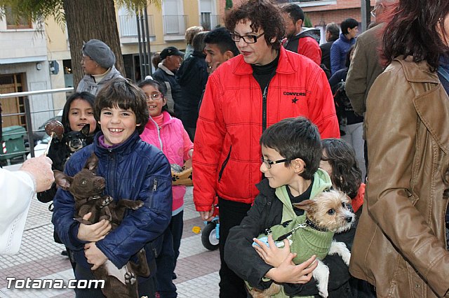 Los animales recibieron la bendicin en el da de su patrn, San Antn Abad - 2013 - 202