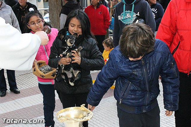 Los animales recibieron la bendicin en el da de su patrn, San Antn Abad - 2013 - 203