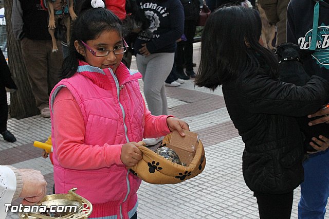 Los animales recibieron la bendicin en el da de su patrn, San Antn Abad - 2013 - 204
