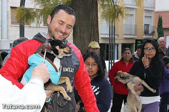 Los animales recibieron la bendicin en el da de su patrn, San Antn Abad - 2013 - 206