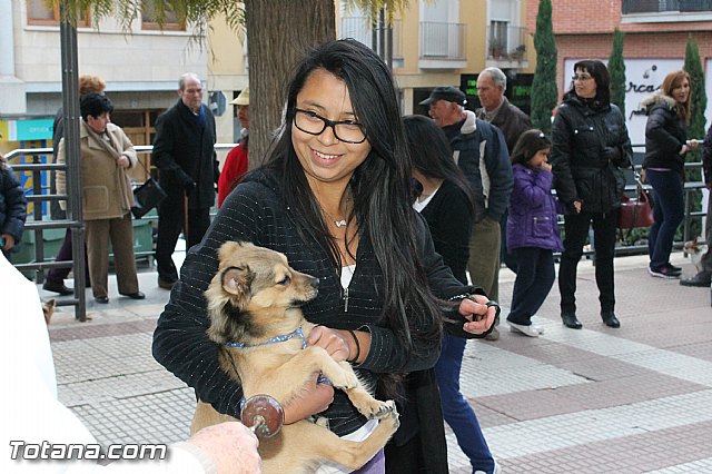 Los animales recibieron la bendicin en el da de su patrn, San Antn Abad - 2013 - 209