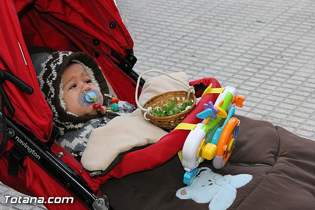 Los animales recibieron la bendicin en el da de su patrn, San Antn Abad - 2013 - 216