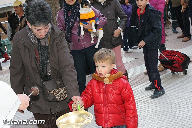 Los animales recibieron la bendicin en el da de su patrn, San Antn Abad - 2013 - 217