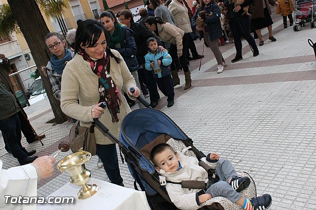 Los animales recibieron la bendicin en el da de su patrn, San Antn Abad - 2013 - 227