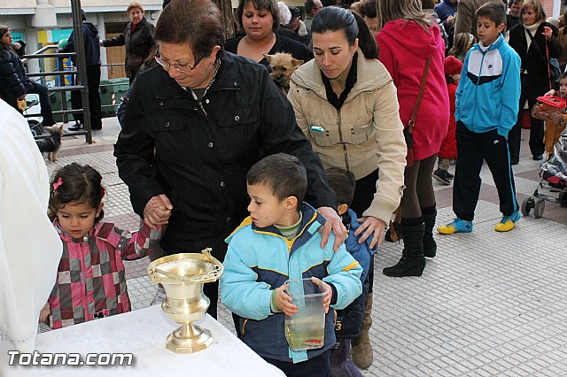Los animales recibieron la bendicin en el da de su patrn, San Antn Abad - 2013 - 230