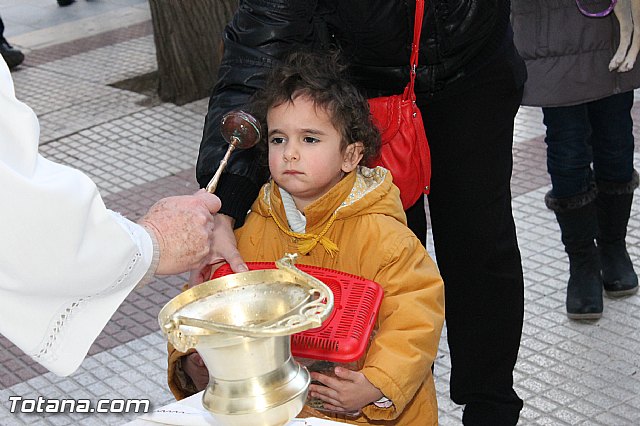 Los animales recibieron la bendicin en el da de su patrn, San Antn Abad - 2013 - 235