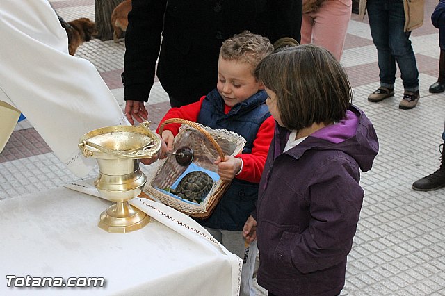 Los animales recibieron la bendicin en el da de su patrn, San Antn Abad - 2013 - 238