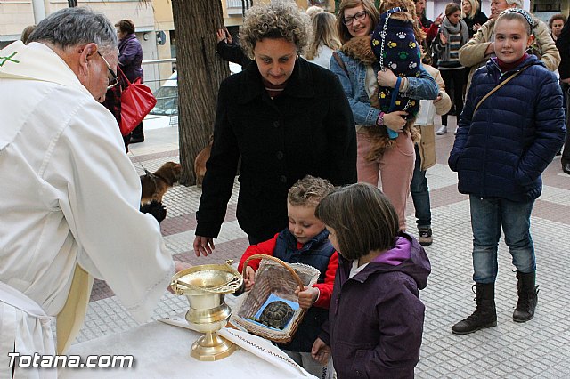 Los animales recibieron la bendicin en el da de su patrn, San Antn Abad - 2013 - 239