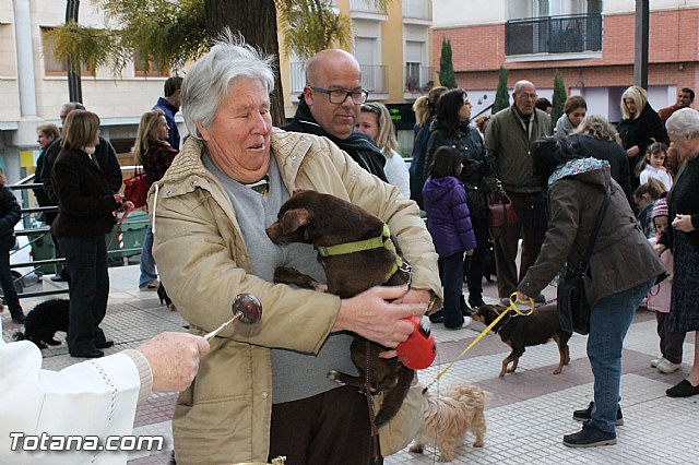 Los animales recibieron la bendicin en el da de su patrn, San Antn Abad - 2013 - 243