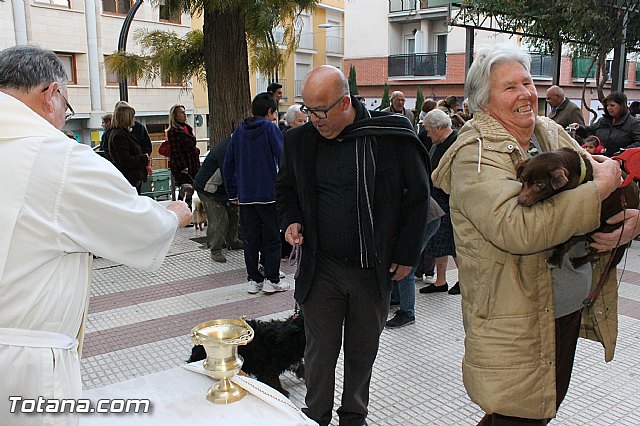 Los animales recibieron la bendicin en el da de su patrn, San Antn Abad - 2013 - 244