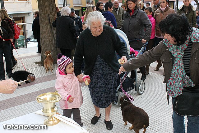 Los animales recibieron la bendicin en el da de su patrn, San Antn Abad - 2013 - 246