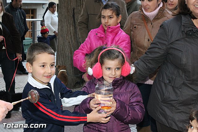 Los animales recibieron la bendicin en el da de su patrn, San Antn Abad - 2013 - 248