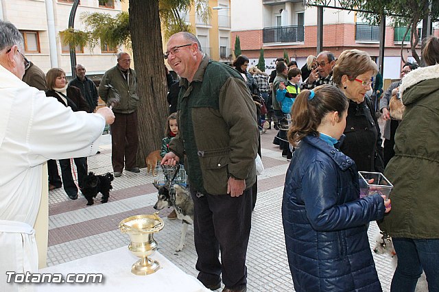 Los animales recibieron la bendicin en el da de su patrn, San Antn Abad - 2013 - 252