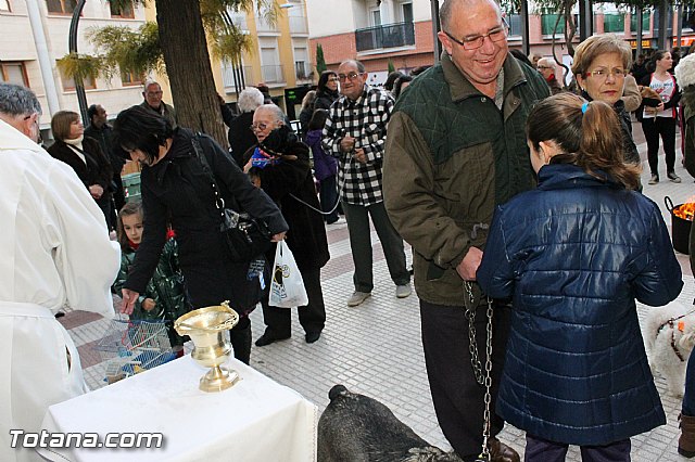 Los animales recibieron la bendicin en el da de su patrn, San Antn Abad - 2013 - 253