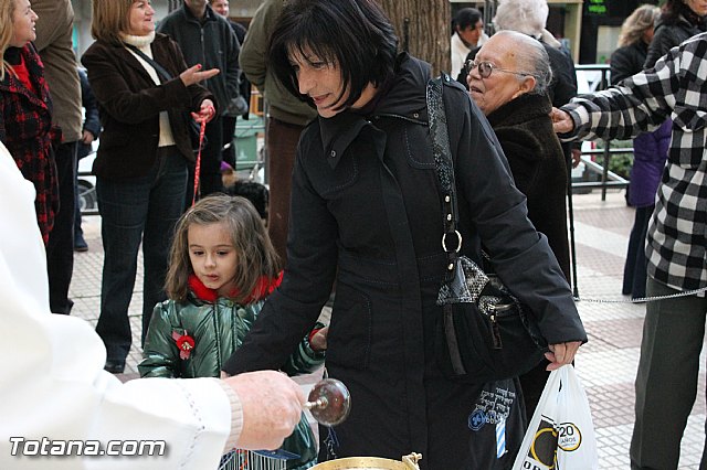 Los animales recibieron la bendicin en el da de su patrn, San Antn Abad - 2013 - 254