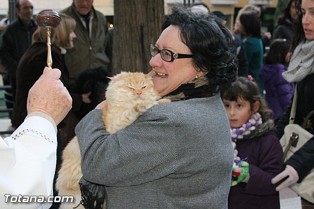 Los animales recibieron la bendicin en el da de su patrn, San Antn Abad - 2013 - 256