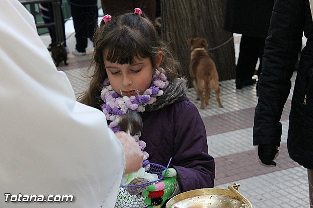 Los animales recibieron la bendicin en el da de su patrn, San Antn Abad - 2013 - 257
