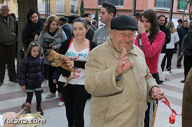 Los animales recibieron la bendicin en el da de su patrn, San Antn Abad - 2013 - 261