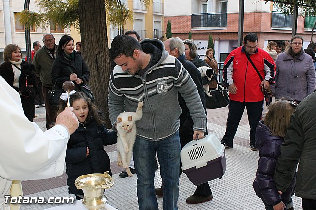 Los animales recibieron la bendicin en el da de su patrn, San Antn Abad - 2013 - 265