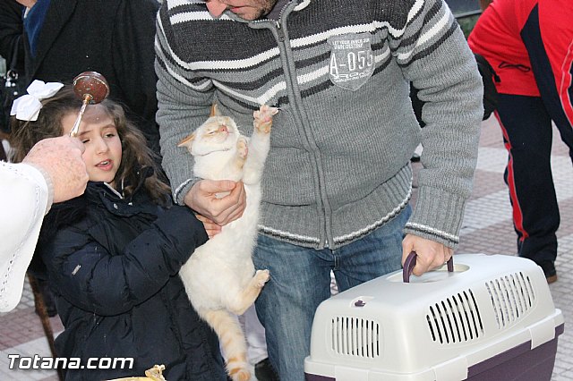Los animales recibieron la bendicin en el da de su patrn, San Antn Abad - 2013 - 266