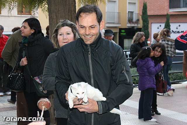 Los animales recibieron la bendicin en el da de su patrn, San Antn Abad - 2013 - 267