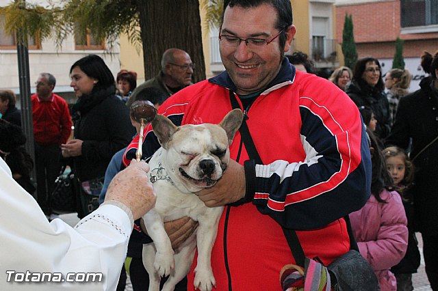 Los animales recibieron la bendicin en el da de su patrn, San Antn Abad - 2013 - 269