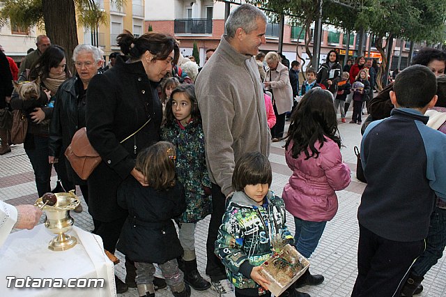 Los animales recibieron la bendicin en el da de su patrn, San Antn Abad - 2013 - 273