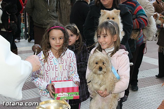 Los animales recibieron la bendicin en el da de su patrn, San Antn Abad - 2013 - 275
