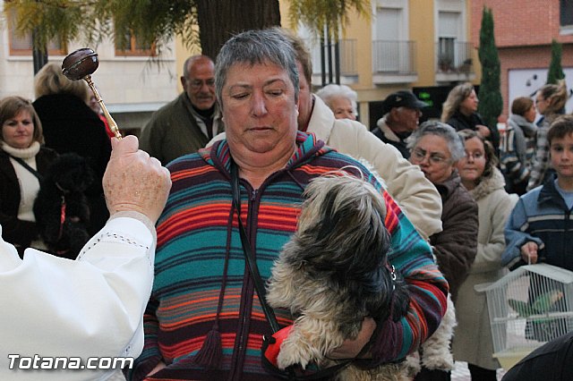 Los animales recibieron la bendicin en el da de su patrn, San Antn Abad - 2013 - 278