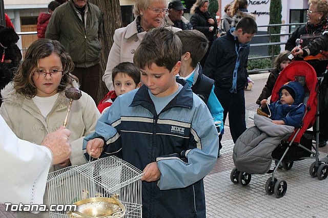 Los animales recibieron la bendicin en el da de su patrn, San Antn Abad - 2013 - 281