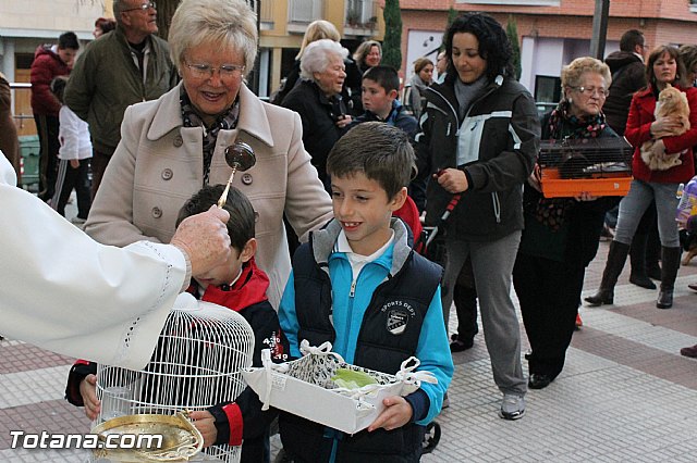 Los animales recibieron la bendicin en el da de su patrn, San Antn Abad - 2013 - 282