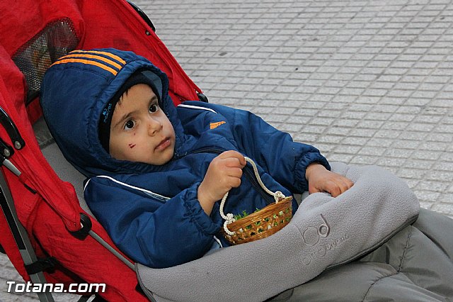 Los animales recibieron la bendicin en el da de su patrn, San Antn Abad - 2013 - 285