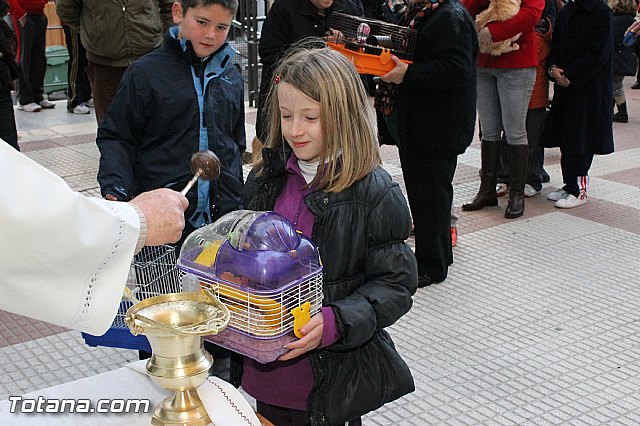 Los animales recibieron la bendicin en el da de su patrn, San Antn Abad - 2013 - 286