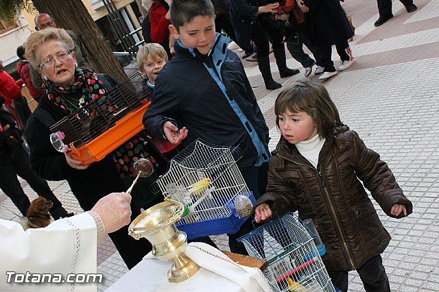 Los animales recibieron la bendicin en el da de su patrn, San Antn Abad - 2013 - 287