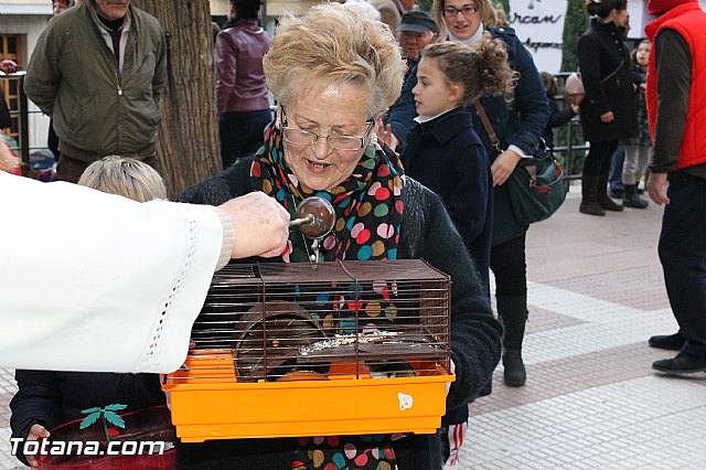 Los animales recibieron la bendicin en el da de su patrn, San Antn Abad - 2013 - 288