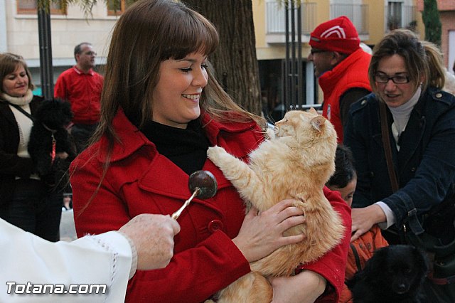 Los animales recibieron la bendicin en el da de su patrn, San Antn Abad - 2013 - 290